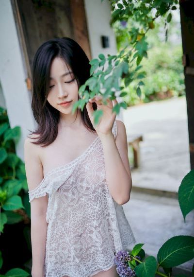大清洗冤录电视剧在线观看