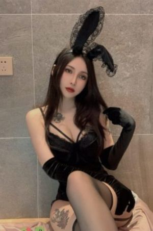 免费理论电影